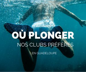Où plonger en Guadeloupe