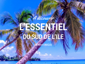 Quoi faire en Martinique