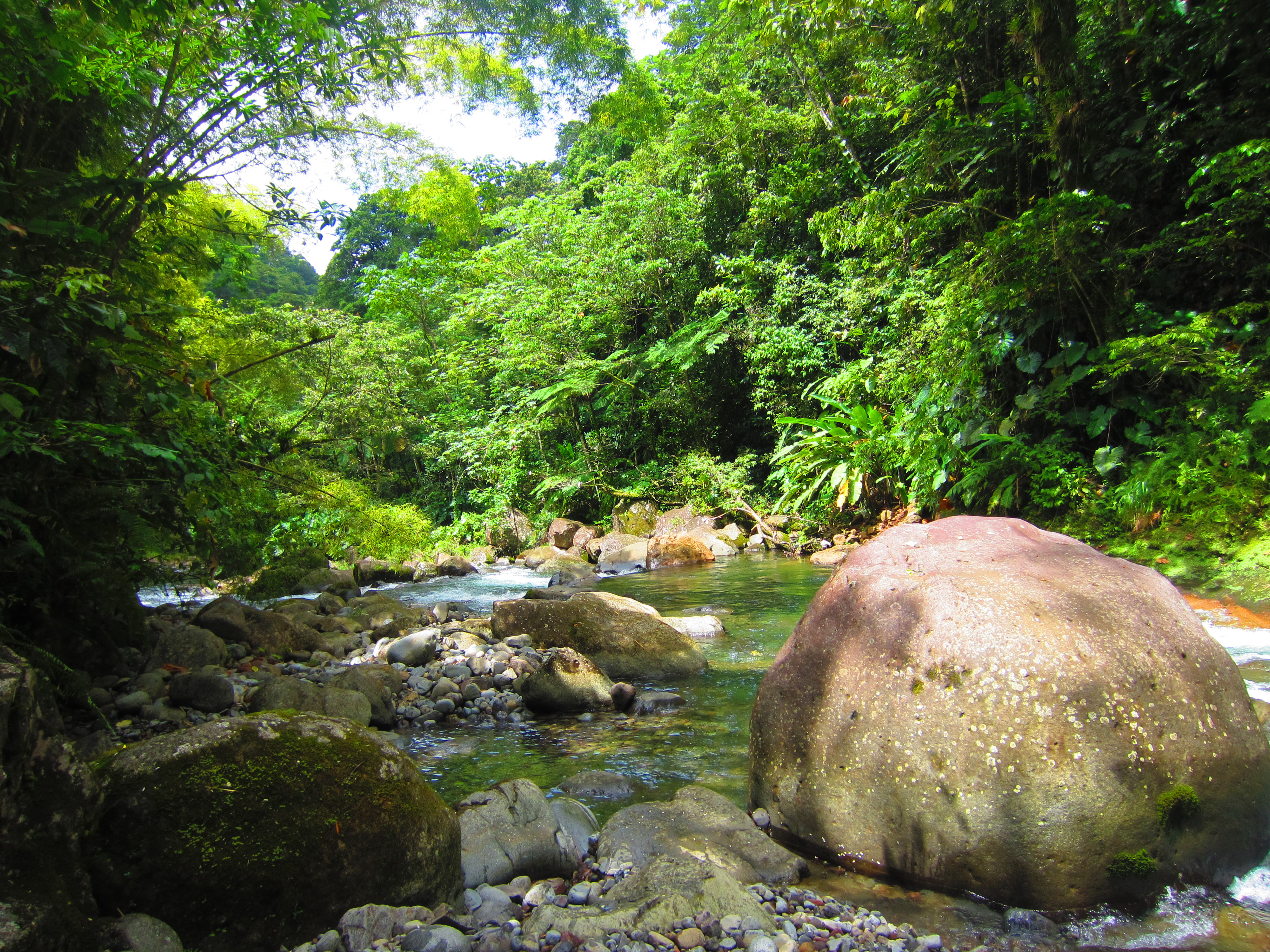 Mes 10 petits plaisirs en Basse-Terre