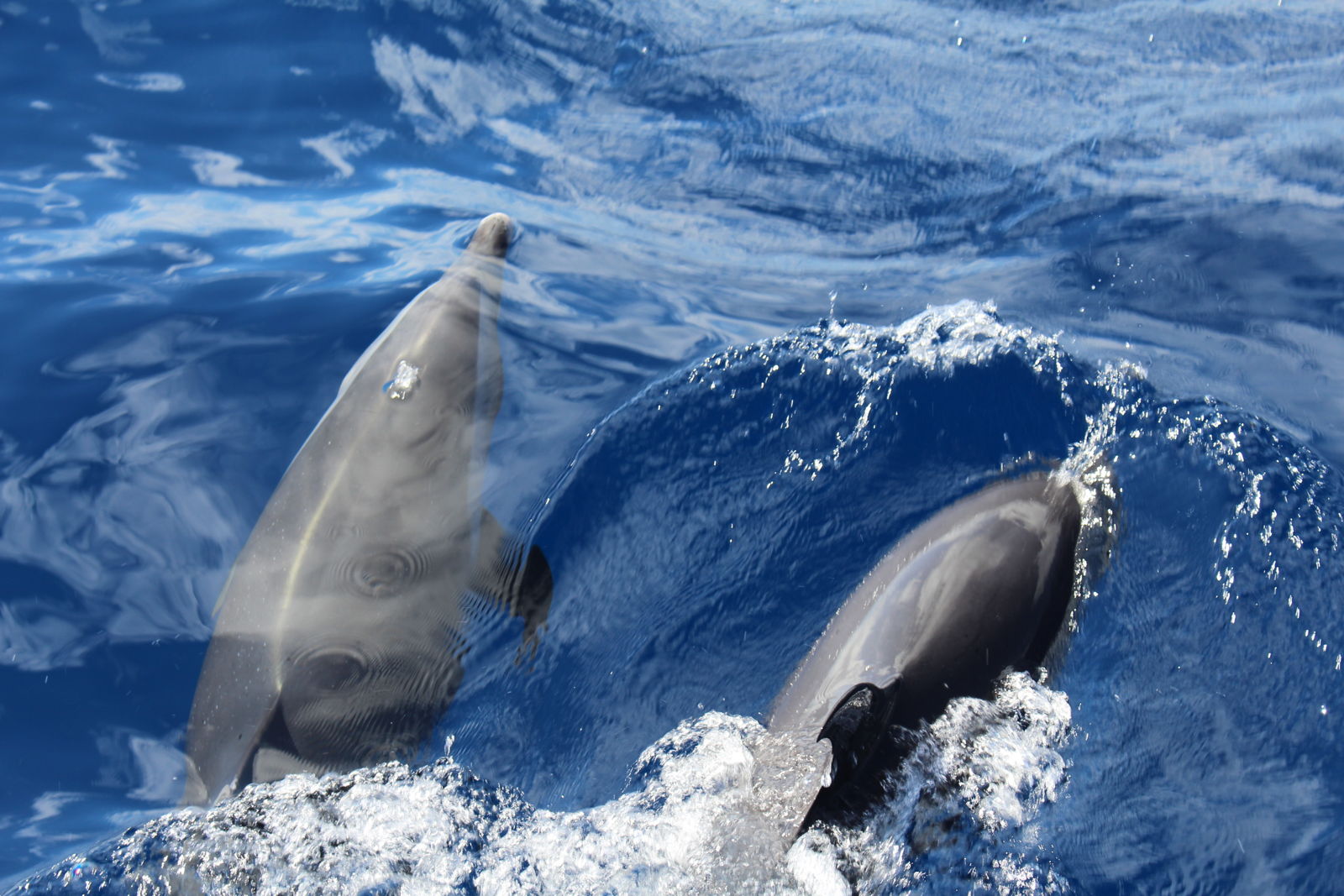 Iles de Guadeloupe