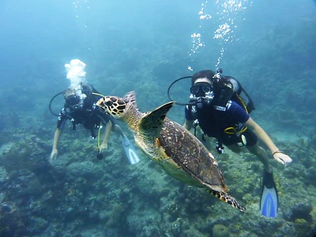 Iles de Guadeloupe