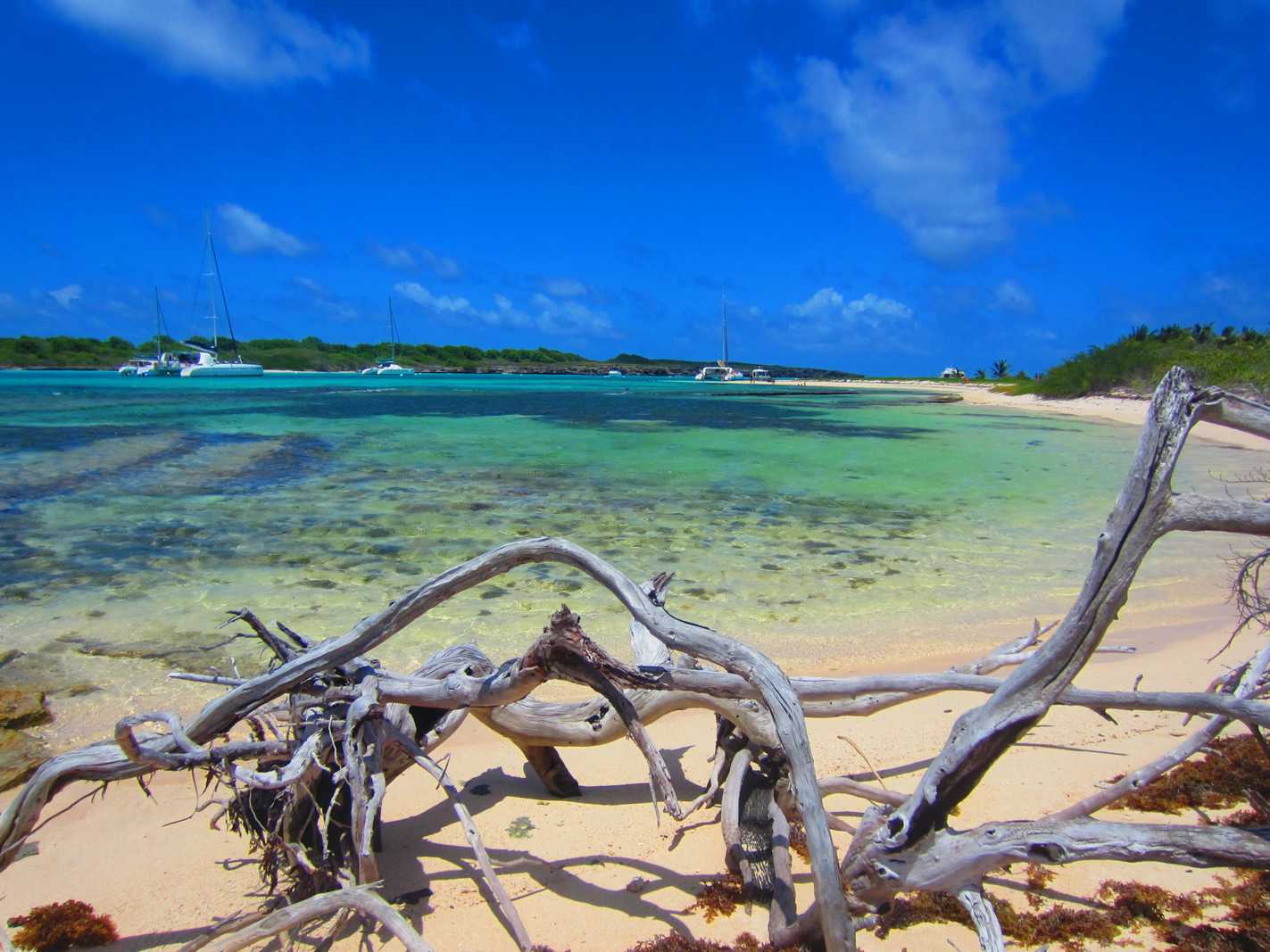 Découvrir Petite Terre en Guadeloupe