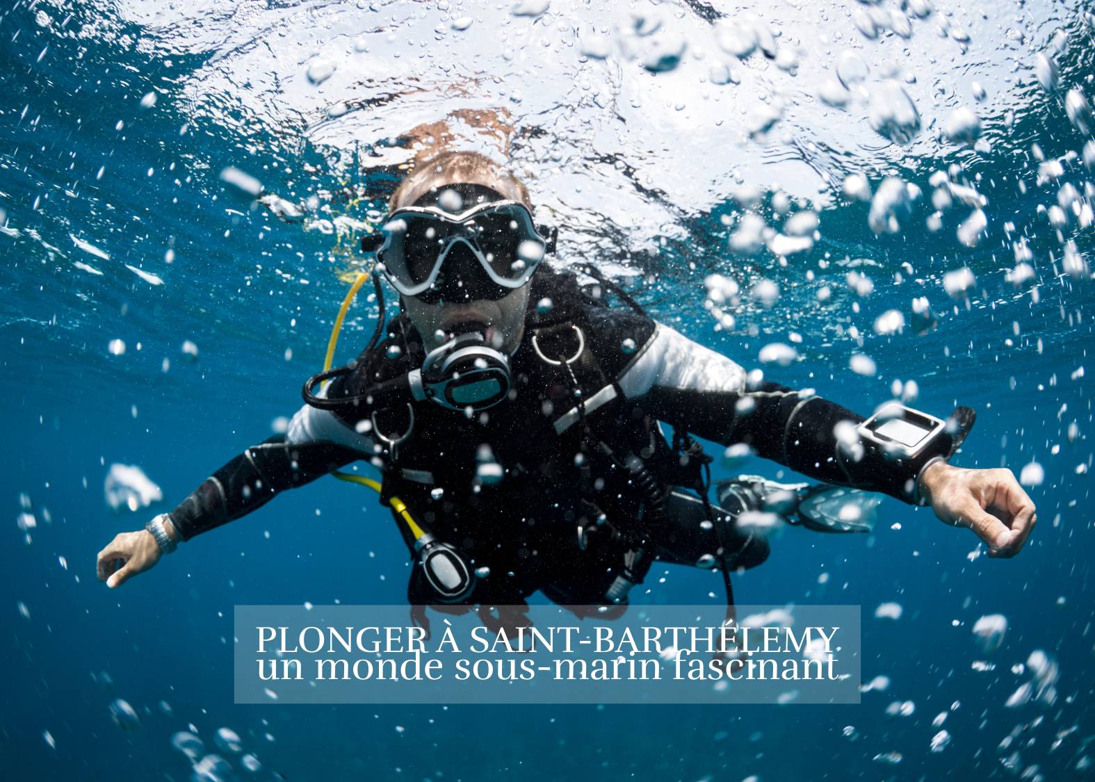 Plongée à Saint-Barthélemy