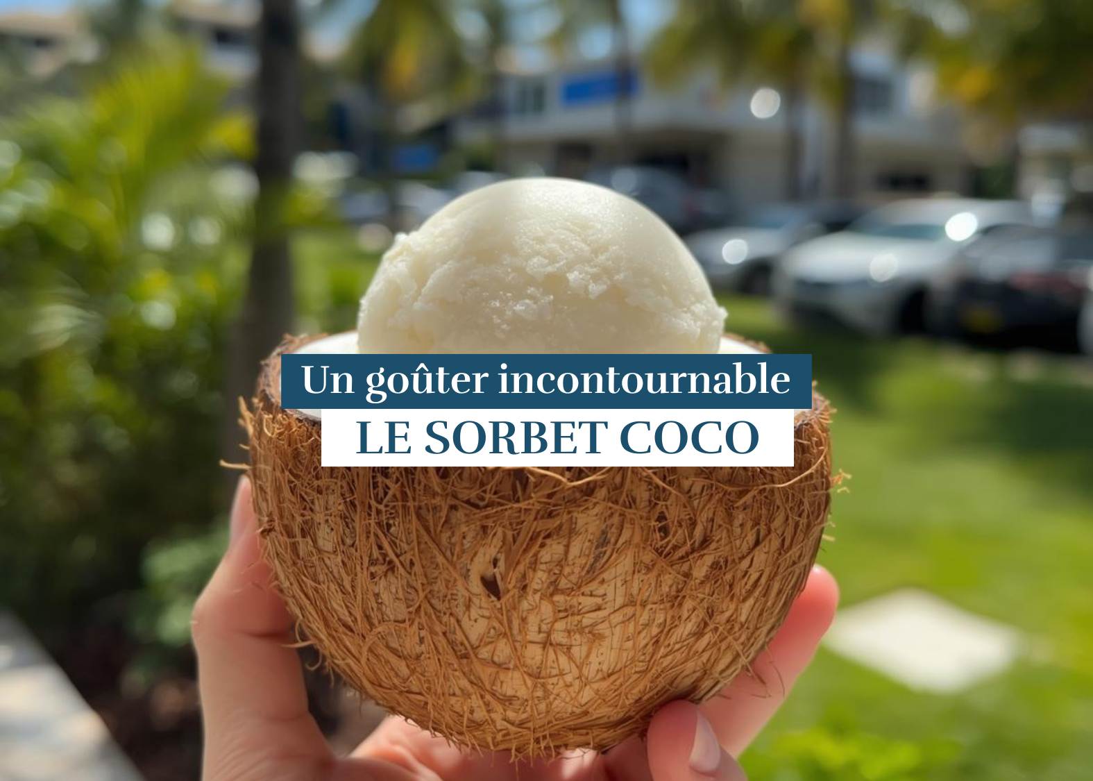 Sorbet coco aux Antilles dégusté après la plage, spécialité locale crémeuse et rafraîchissante