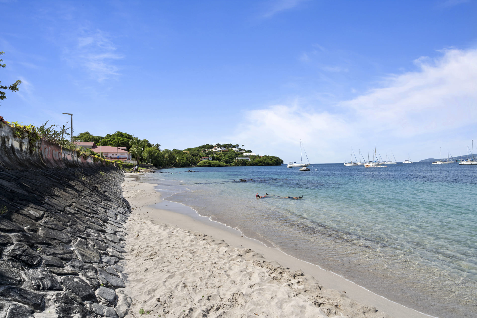 Paysage lumineux de la Martinique en décembre, entre mer turquoise, ciel ensoleillé et atmosphère tropicale propice aux vacances.