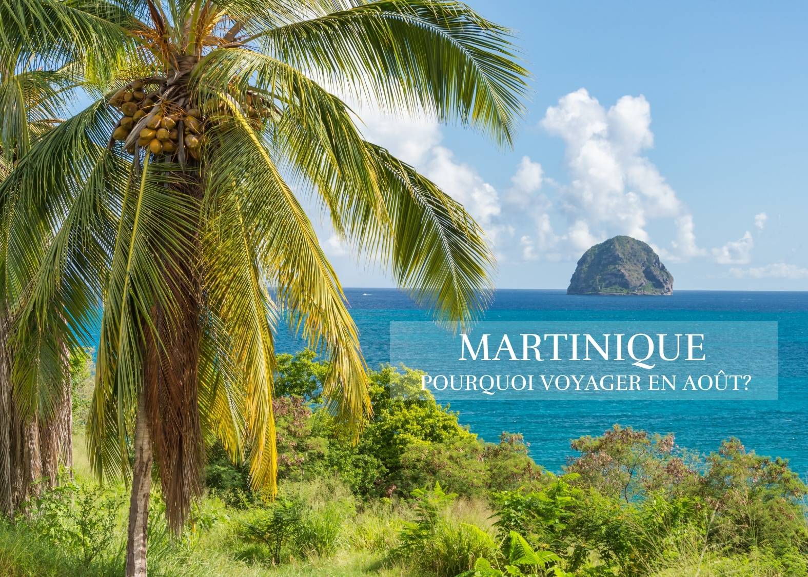 Affluence estivale sur une plage de Martinique en août, ambiance festive, mer turquoise et vacanciers profitant de l’été tropical.
