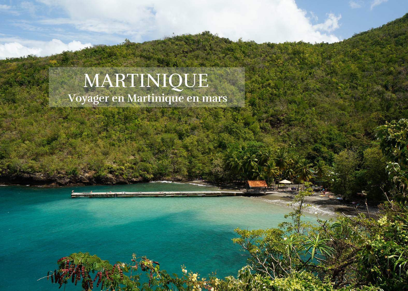 Voyager en Martinique en Mars : carnaval, plages paradisiaques et gastronomie