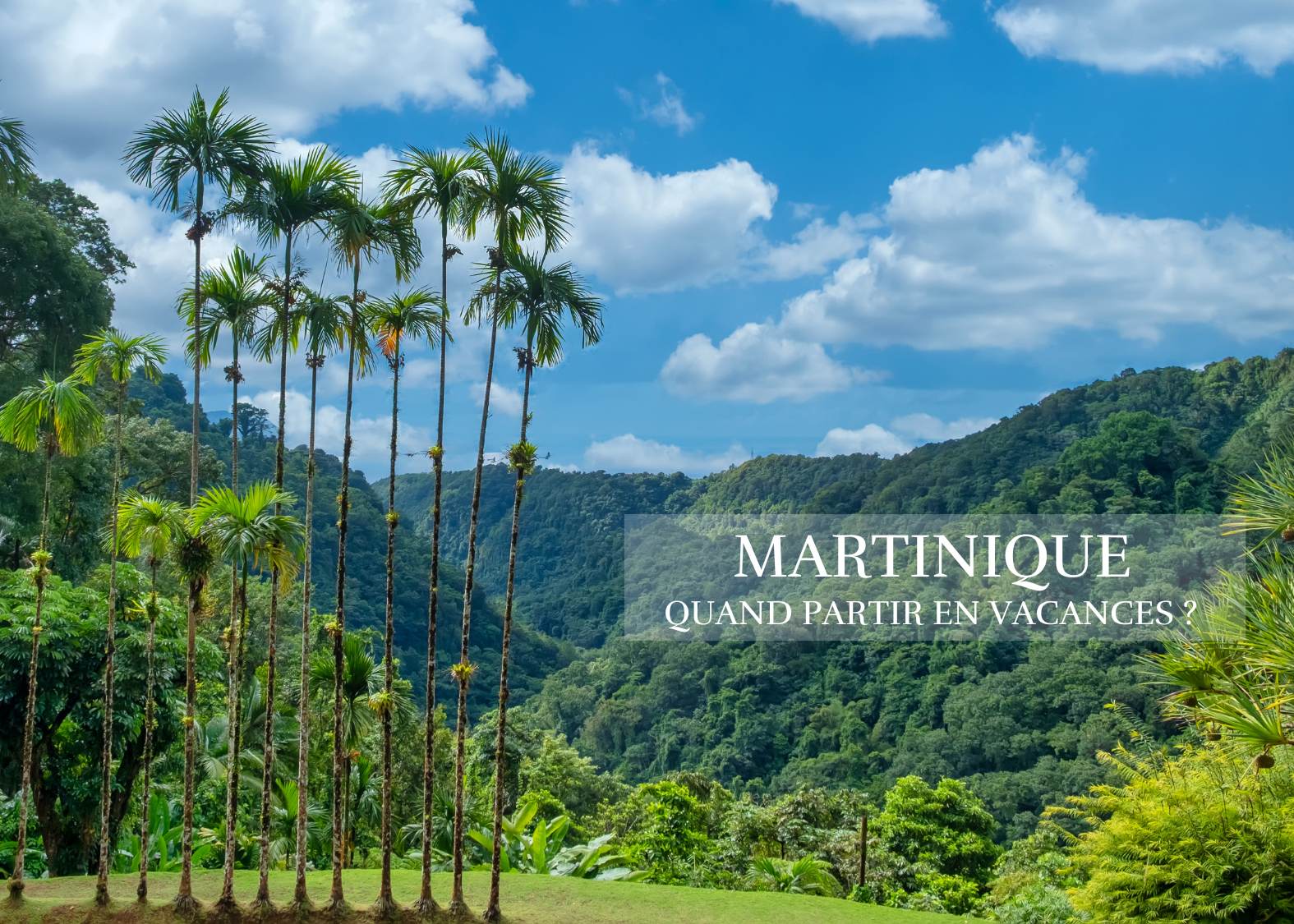 Quand partir en Martinique ? Paysage tropical luxuriant et végétation verdoyante