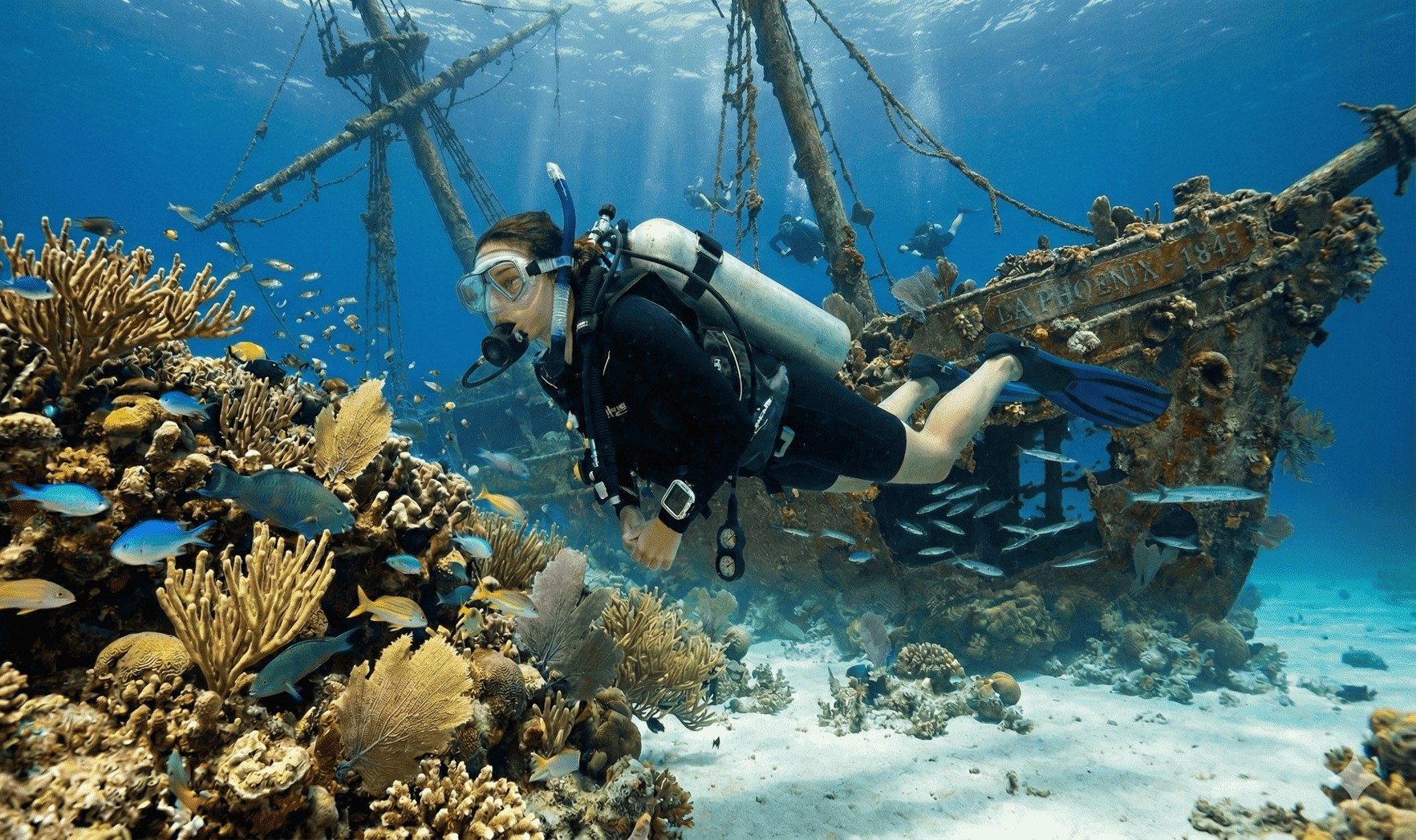 Plongée sous-marine sur les épaves de Saint-Pierre en Martinique.