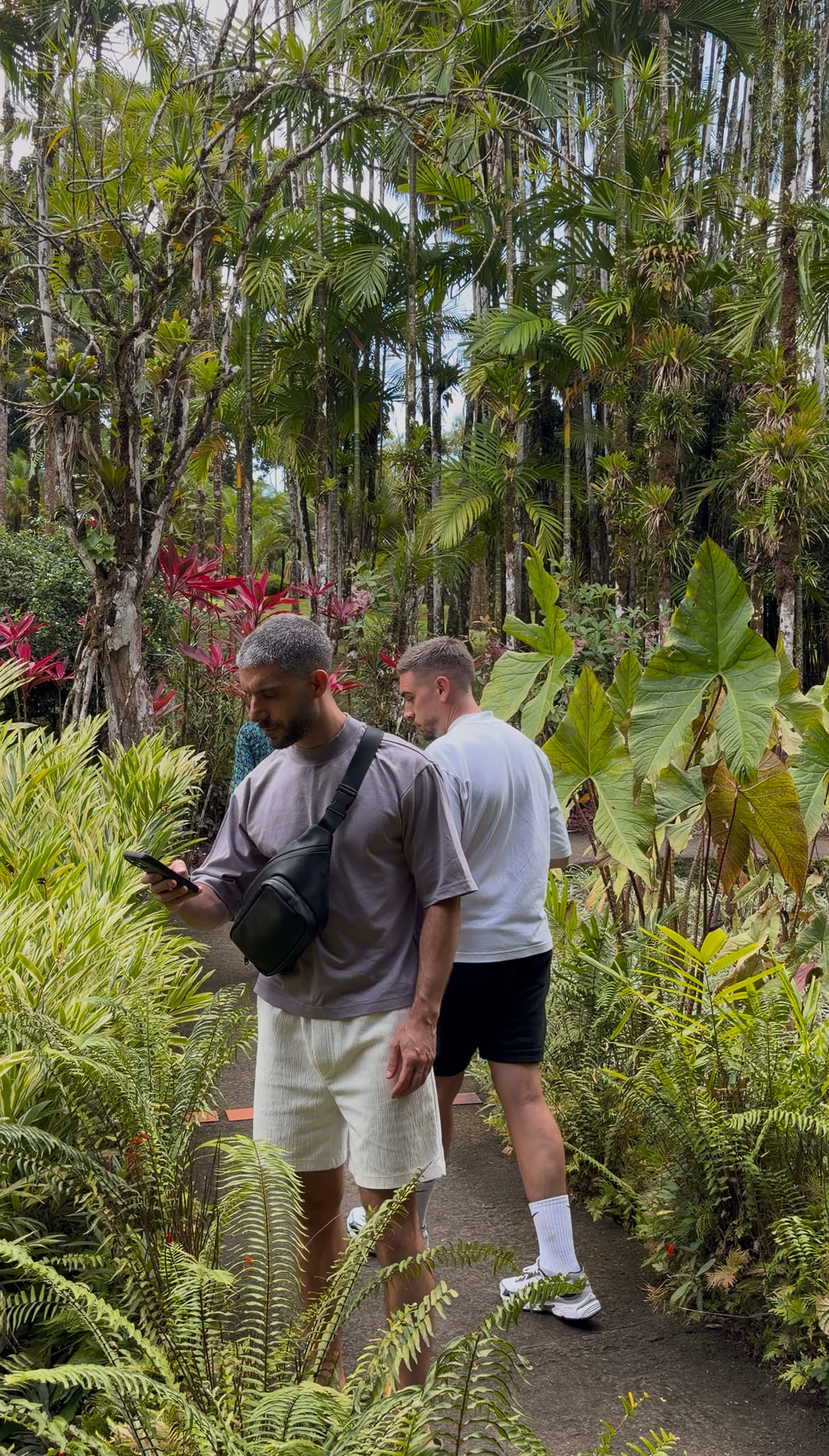 Visite du jardin de balata en Martinique lors de mes dernières vacances