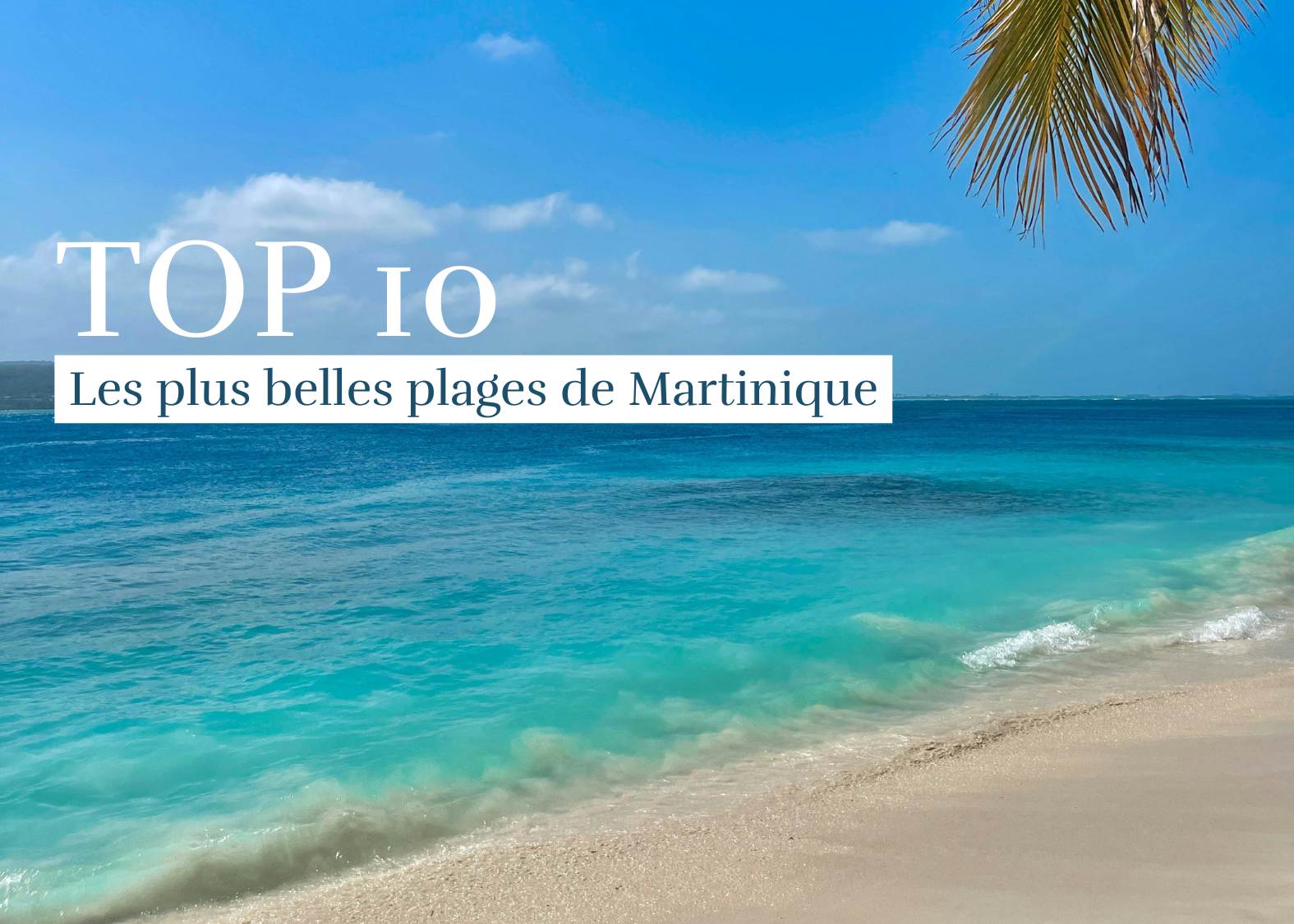 Les 10 plus belles plages de Martinique : de Sainte-Anne au Prêcheur, découvrez un guide complet