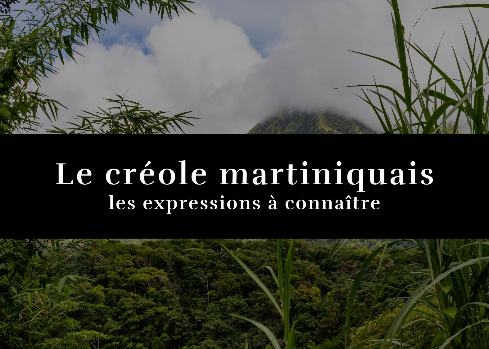 10 expressions utiles pour comprendre le créole martiniquais