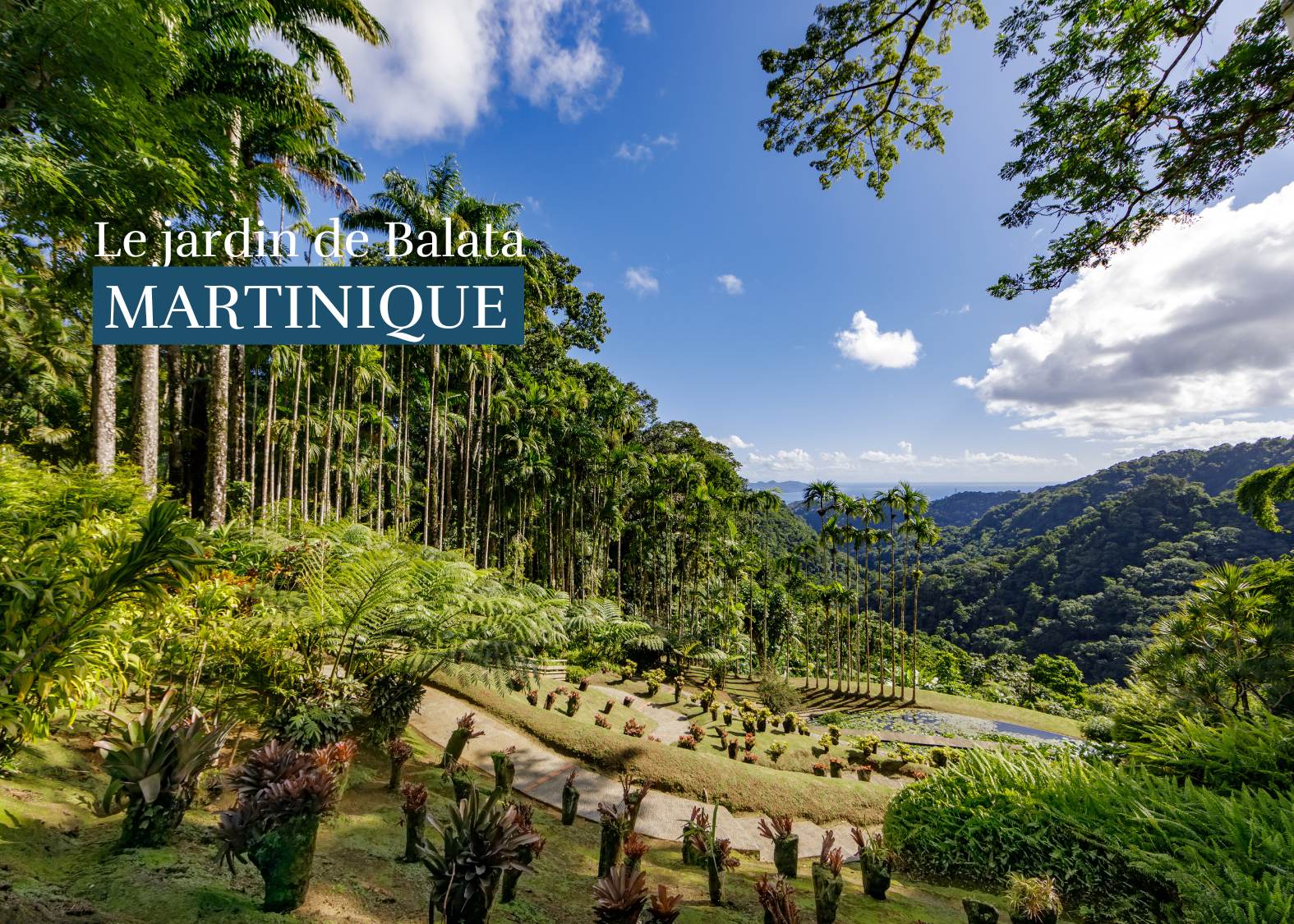 Visiter le jardin de Balata en Martinique : une œuvre d'art grandeur nature