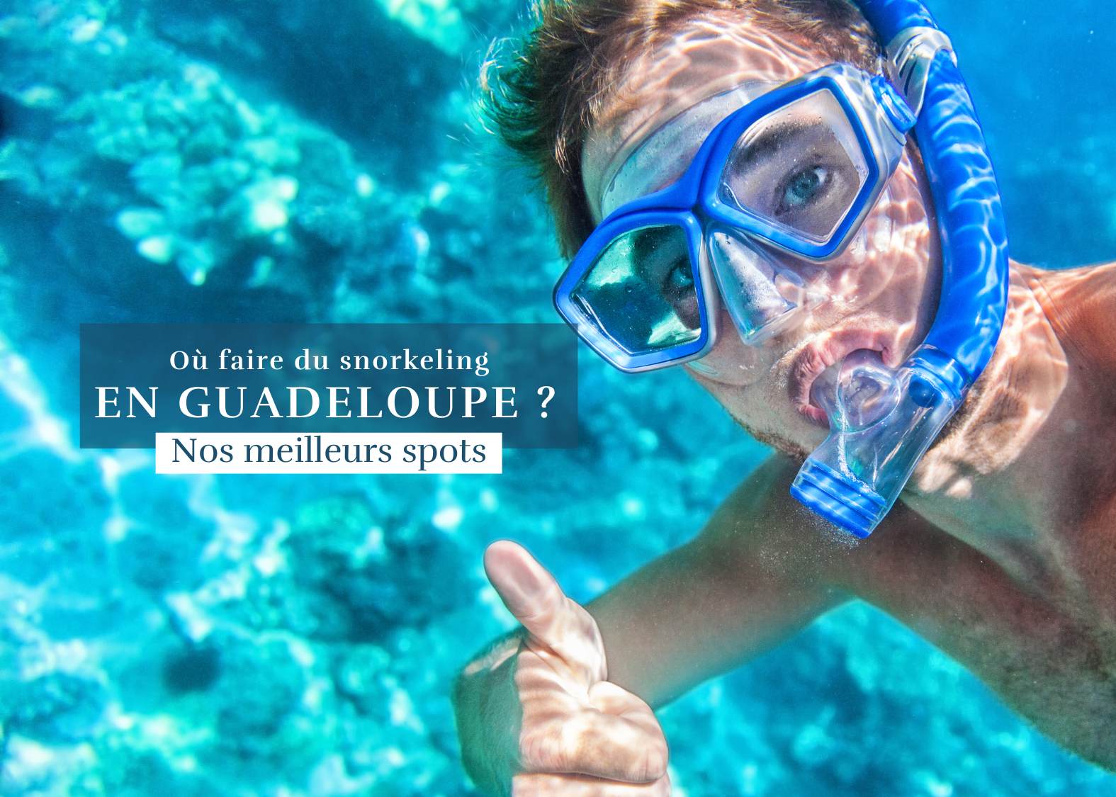 Où faire du snorkeling en Guadeloupe : nos meilleurs spots sous marins