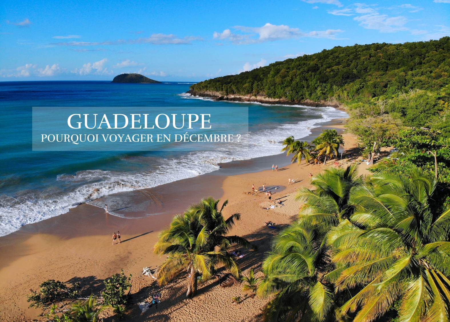 Pourquoi voyager en Guadeloupe en Décembre ? Plage, soleil et cocotiers