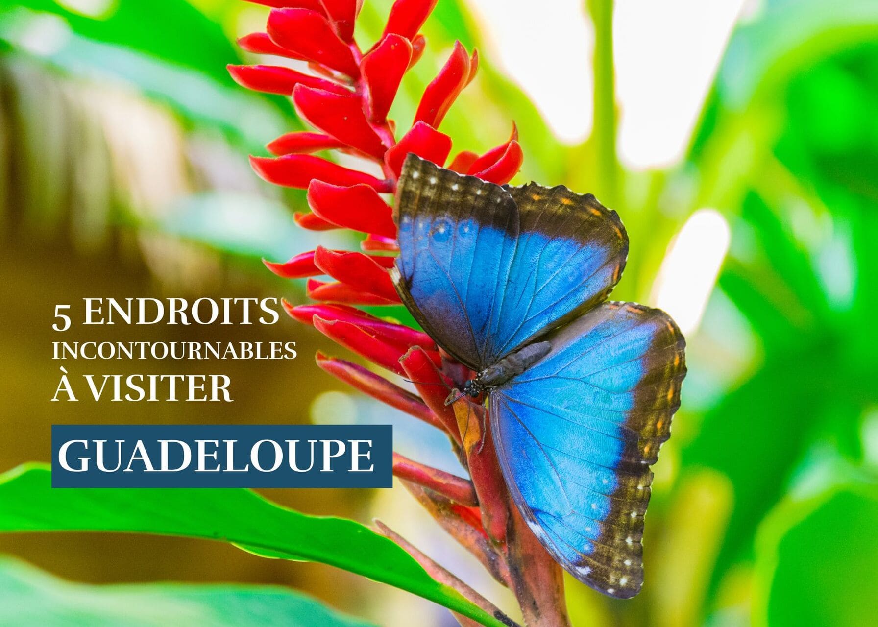 Vacances en Guadeloupe : 5 endroits à visiter pour un séjour complet