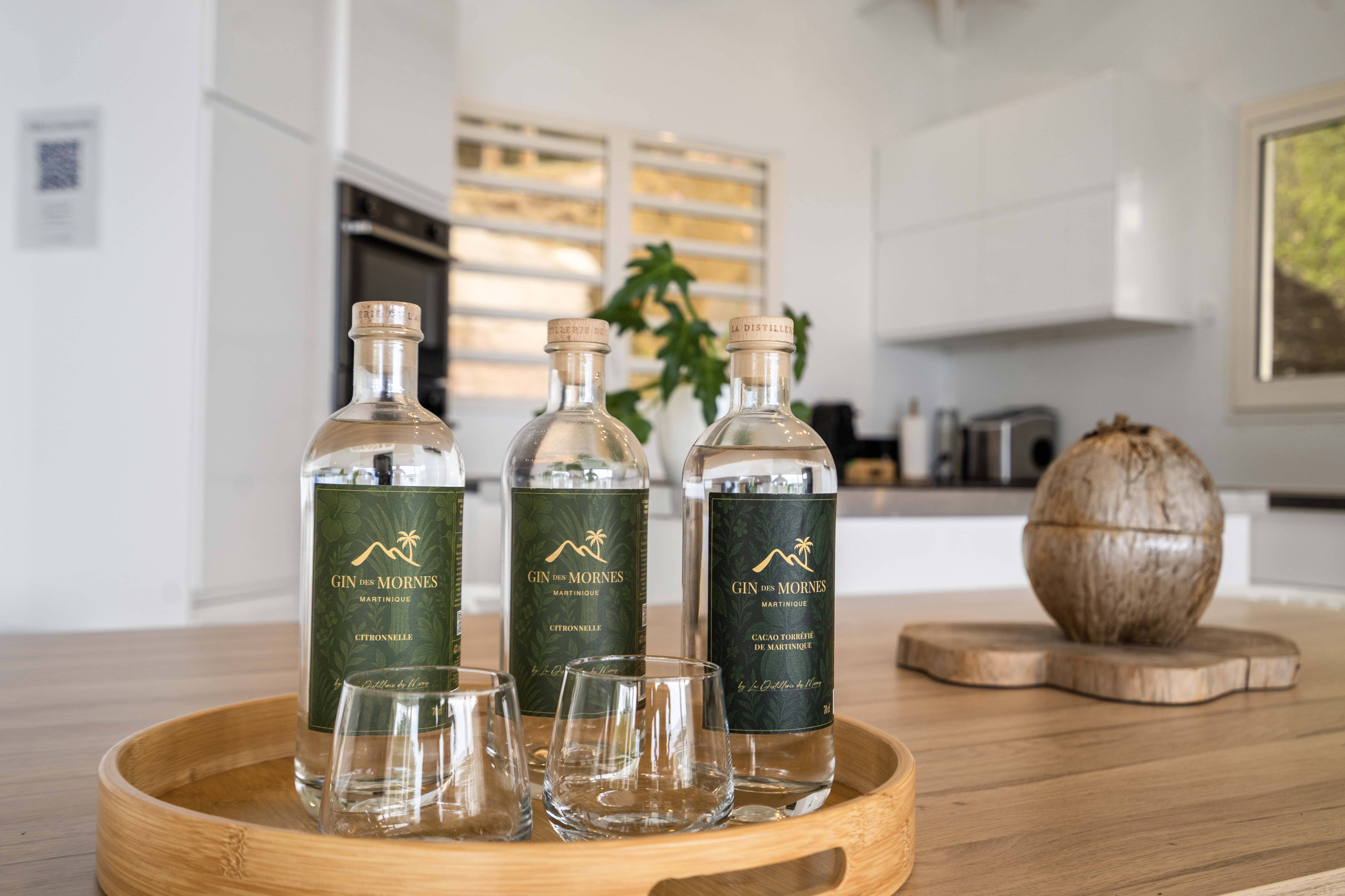 Gin artisanal en Martinique – La Distillerie des Mornes