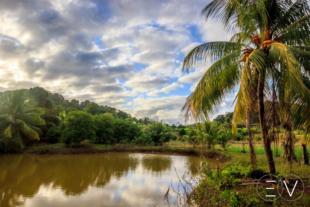 etang-ducos-martinique