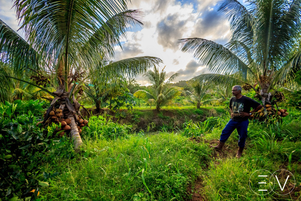 agriculteur-ducos-martinique