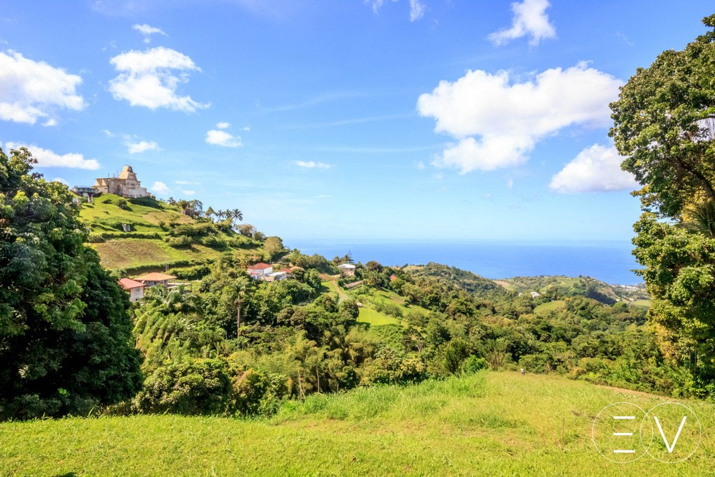 exploitation-biologique-martinique