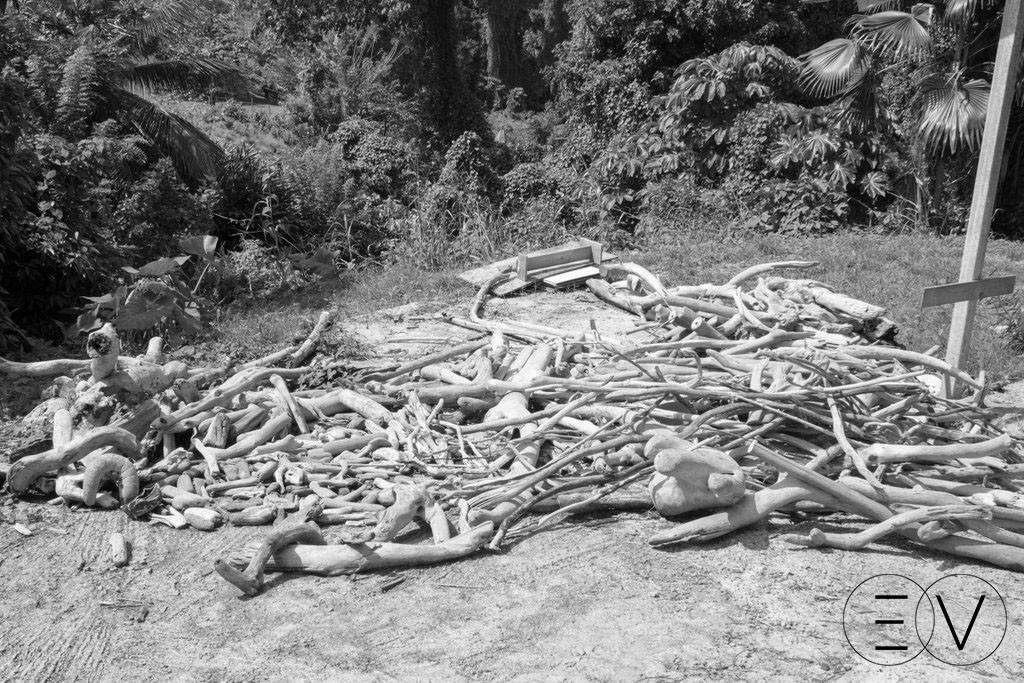 o-bois-desiles- martinique