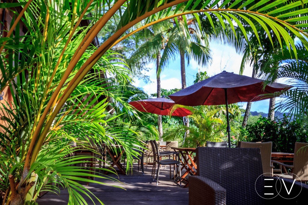 patio-restaurant-martinique