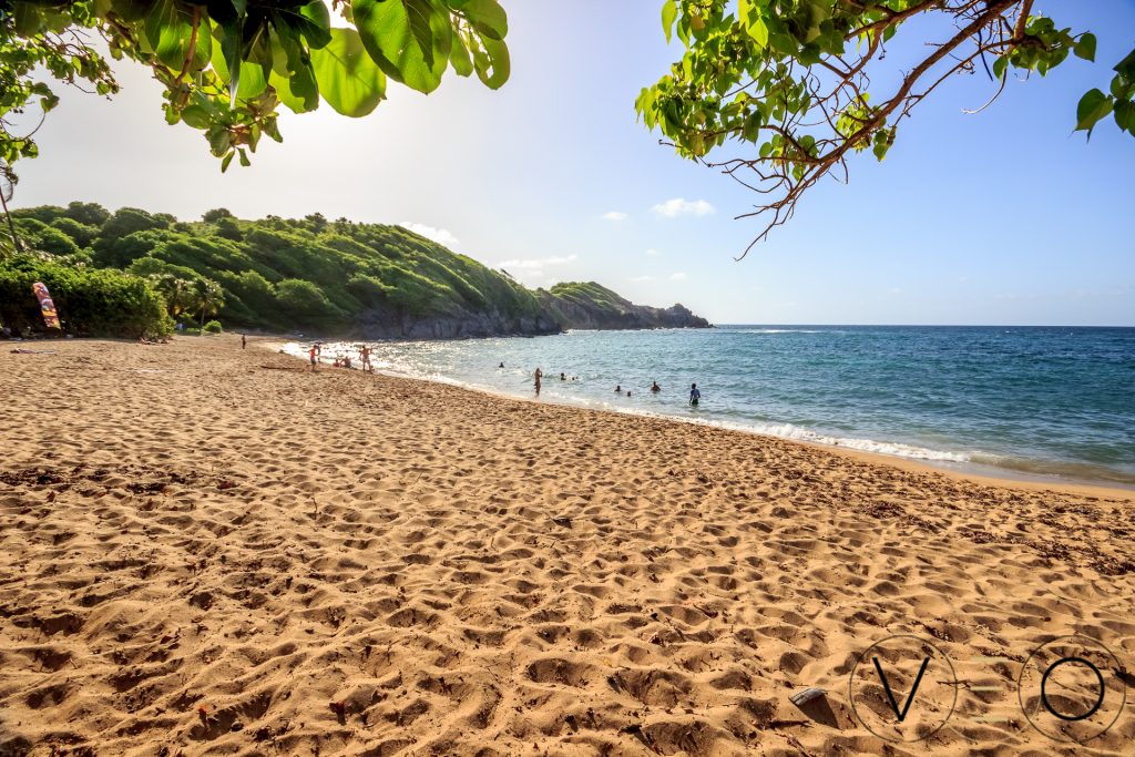 L'Anse l'Etang en Martinique
