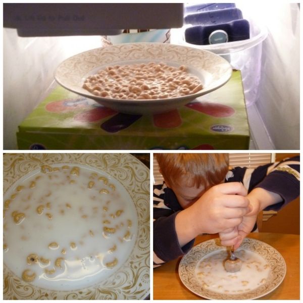 cereales-gelées_resultat