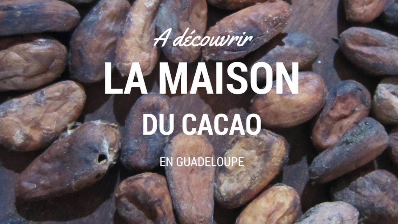 La Maison Du Cacao En Guadeloupe Un Site Authentique La Maison Du Cacao En Guadeloupe Un Site Authentique