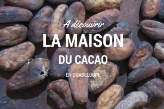 Viste dans la cacaoyère et dégustation à la maison du cacao