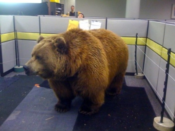 ours-bureau-600x448