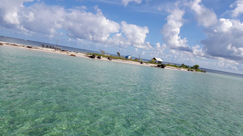 Quoi voir en Basse Terre , Guadeloupe ?