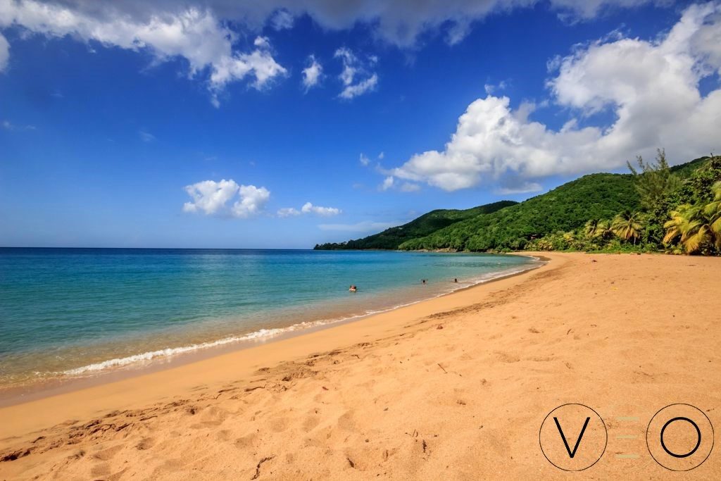 Quoi voir en Basse Terre , Guadeloupe ?