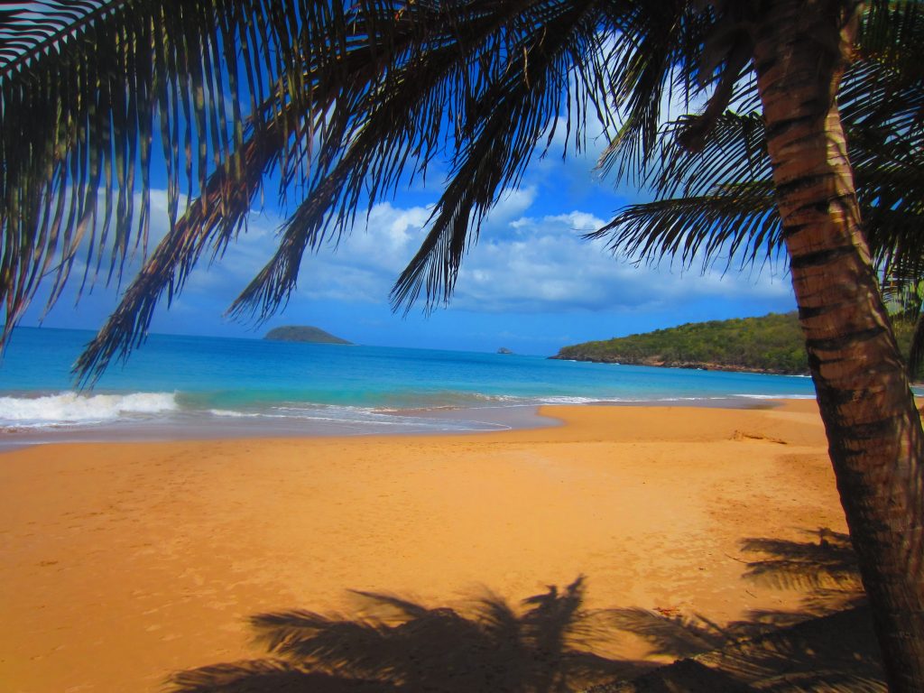 Quoi voir en Basse Terre , Guadeloupe ?