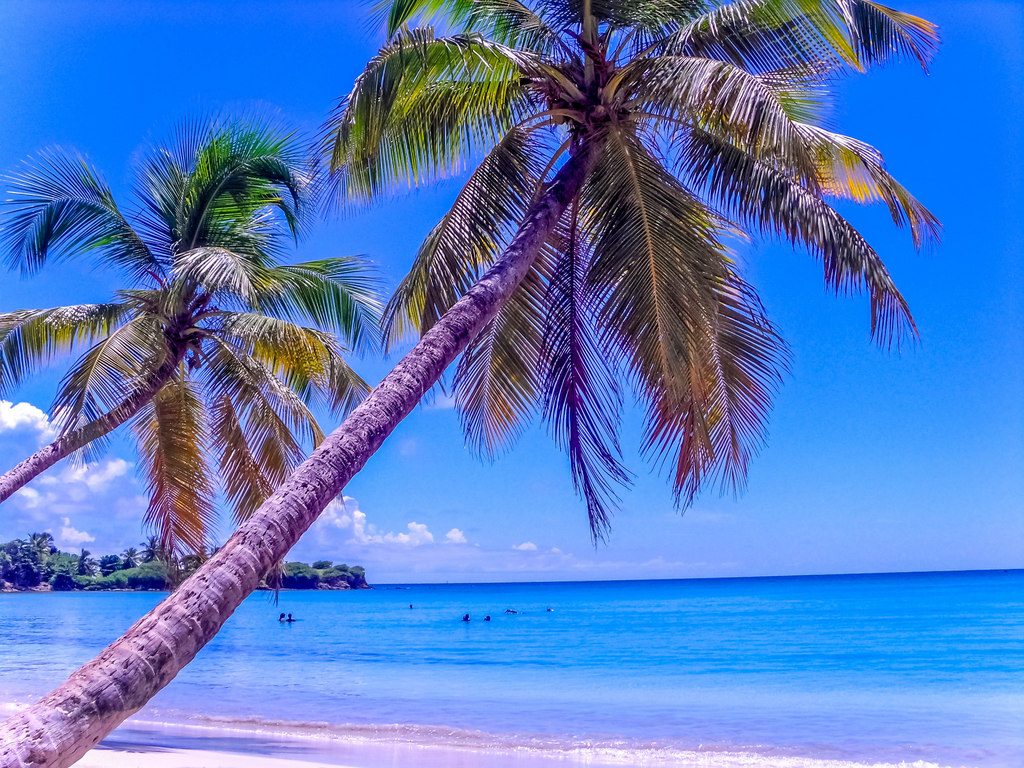 Les Salines, une superbe plage pour se détendre entre copines