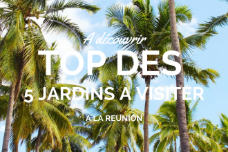 Découvrir les jardins de l'île de la Réunion