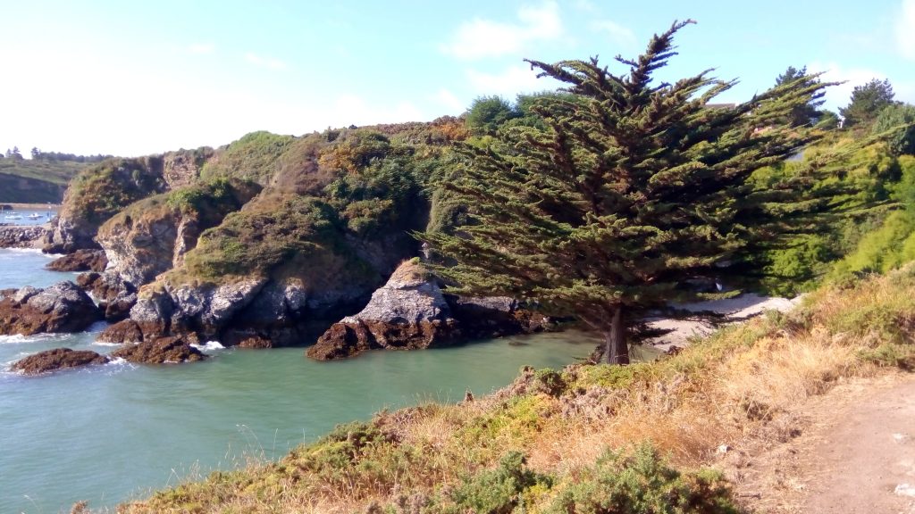 Séjourner au coeur de Sauzon
