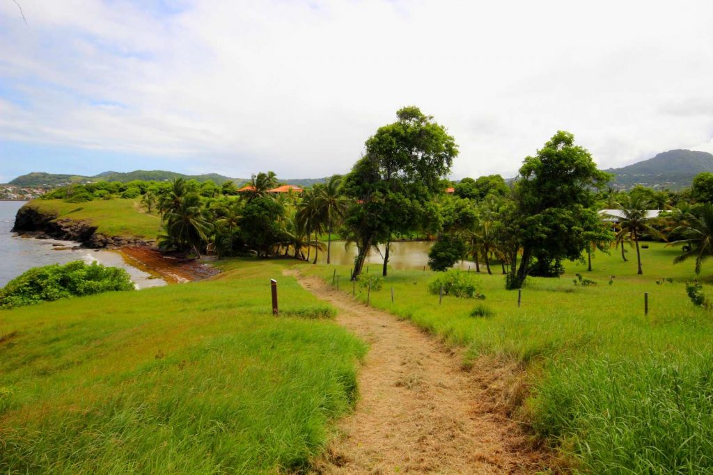 randonnées-pointe-vauclin-martinique