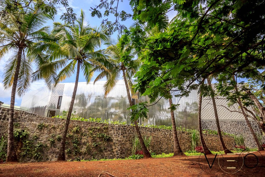 fondation-clément-en-martinique