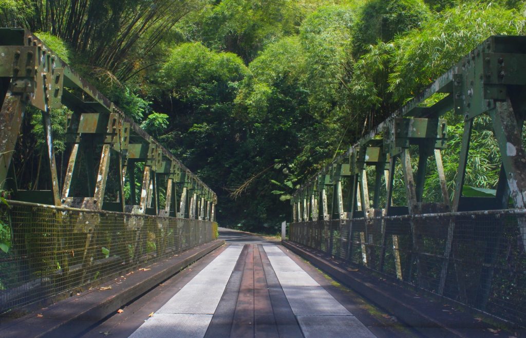 pont-suspendu-grand-rivière-martinique