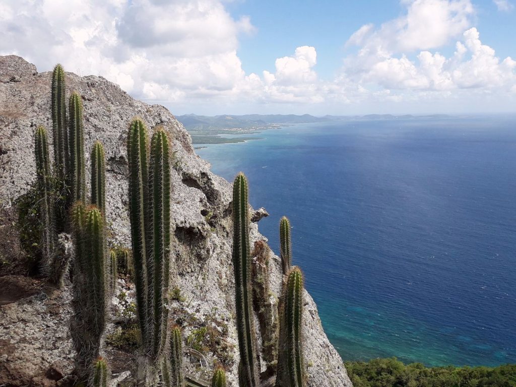 vue-sommet-morne-larcher-martinique