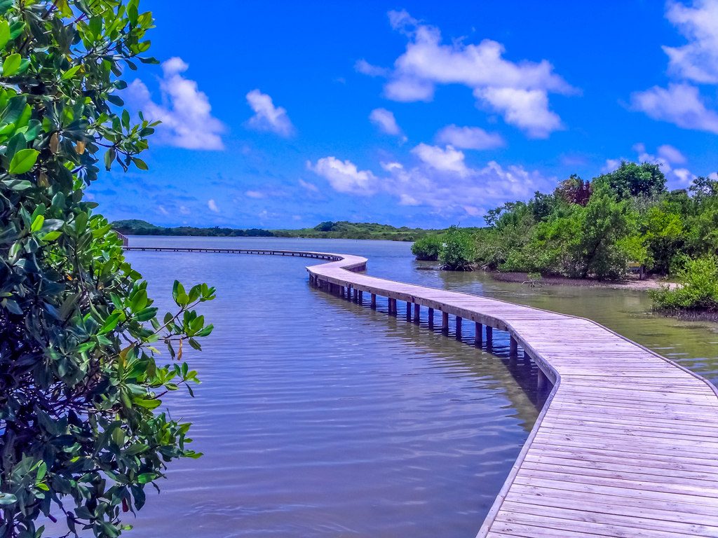 ponton-étang-des-salines-martinique