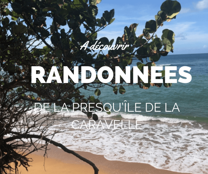 Martinique Les Randonnées De La Presquîle De La Caravelle